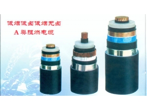 低煙無鹵電纜 (1)