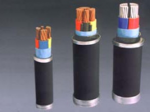 交聯(lián)聚乙烯絕緣電力電纜3
