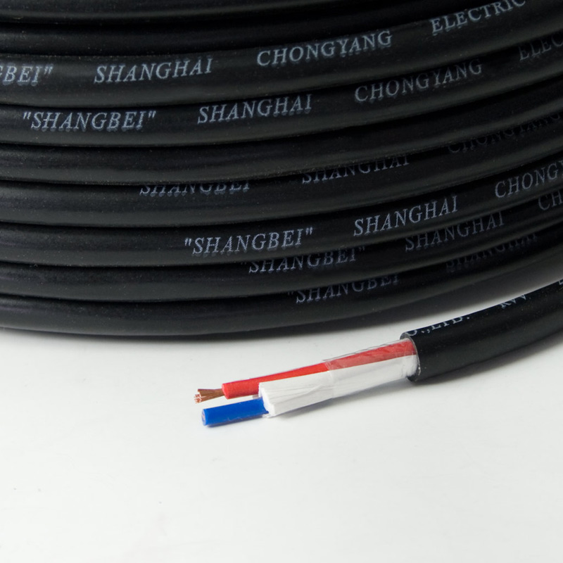 RVV2X1.0護(hù)套線
