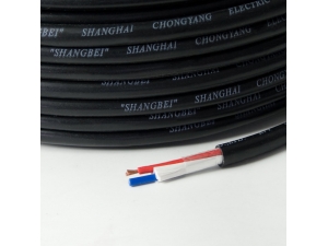 RVV2X1.0護(hù)套線