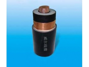 高壓電纜 (2)
