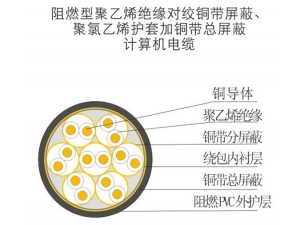 計算機電纜 (1)