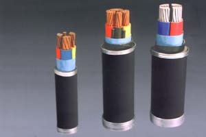 交聯(lián)聚乙烯絕緣電力電纜 (2)