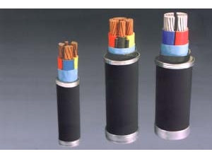交聯(lián)聚乙烯絕緣電力電纜 (2)